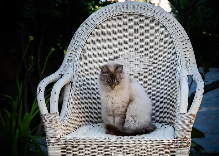 Serenitas * أرونا