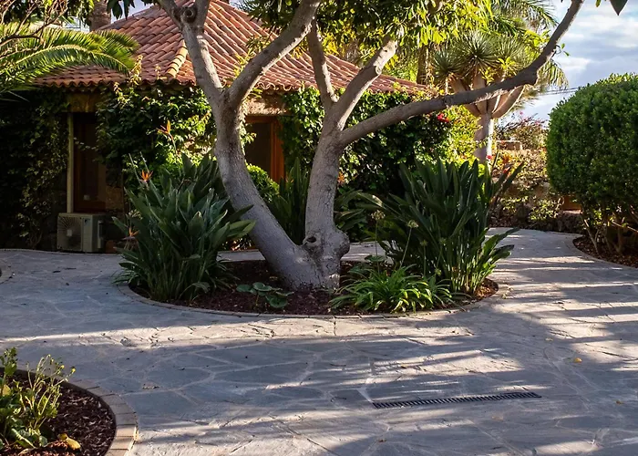 Serenitas فيلة أرونا